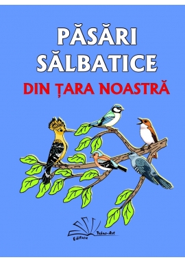 PĂSĂRI SĂLBATICE DIN ȚARA NOASTRĂ