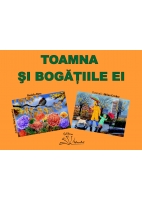 TOAMNA ȘI BOGĂȚIILE EI