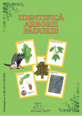 IDENTIFICA ARBORII PADURII!