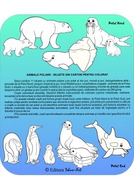 SILUETE DIN CARTON PENTRU COLORAT - PERSONAJE MAGICE