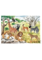 VIEŢUITOARE ŞI MEDIUL LOR DE VIAŢĂ - planşe