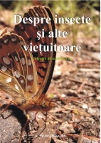 DESPRE INSECTE ŞI ALTE VIEŢUITOARE